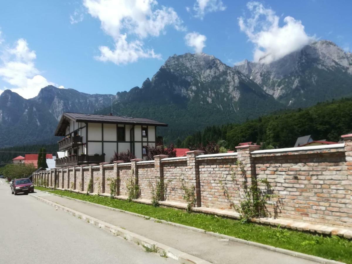 Vila Norbe Buşteni Zewnętrze zdjęcie